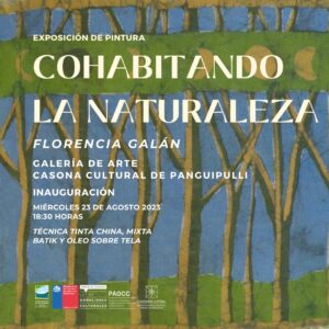 Afiche invitación Panguipulli