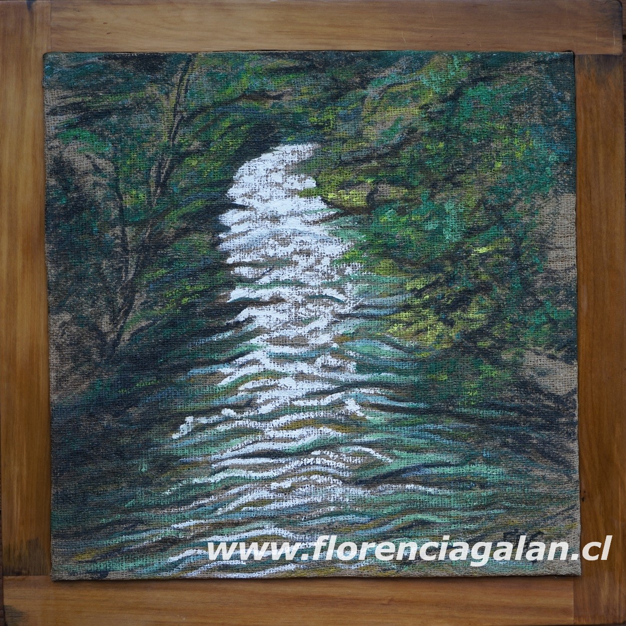 Aguas claras y libres H2O