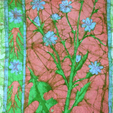 achicoria_50x76