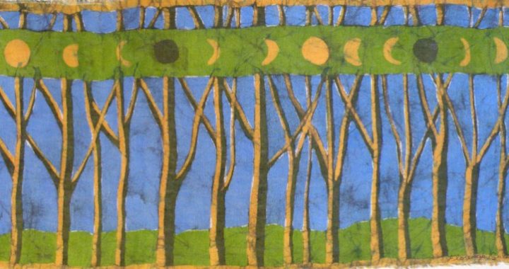 bosque_y_lunas_79x37