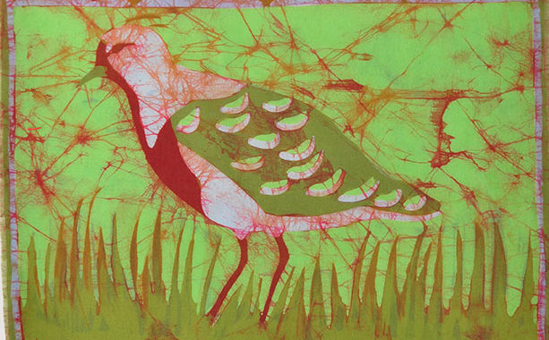 queltehue_42x42