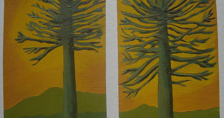 49-diptico-araucarias