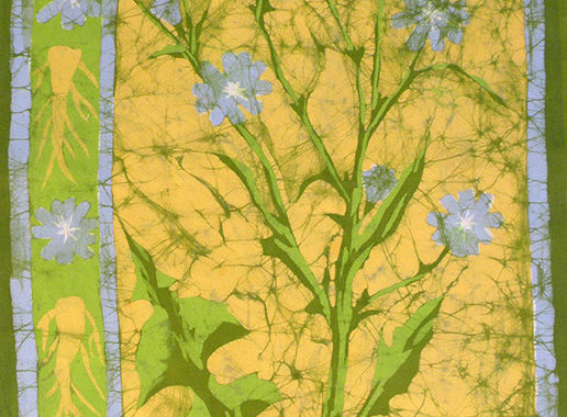 achicoria-i-54x83