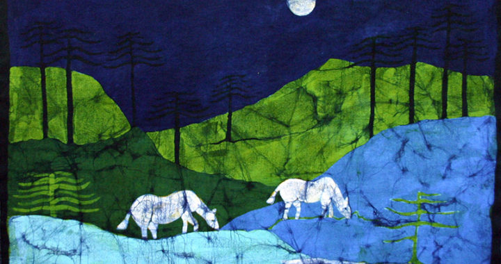 norche_de_luna_80x58