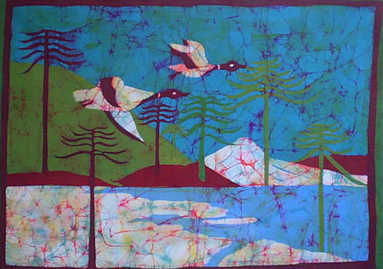 patos-en-el-can%cc%83i-iii