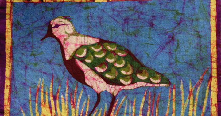 queltehue-45x45