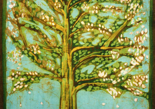 primavera-60x80