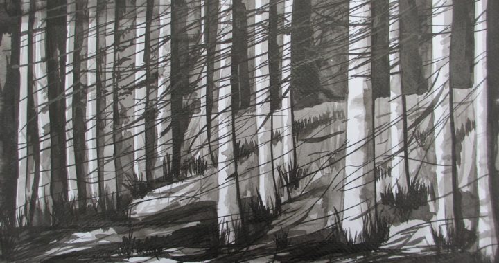 La-foret.-Medidas-52-x-42-cms-.marco-negro-con-paspartu.