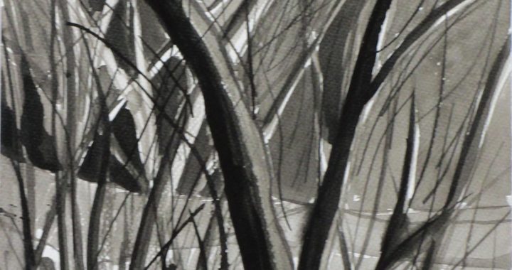 Mesanges--Medidas-42-x-52-cms.marco-negro-con-paspartu.
