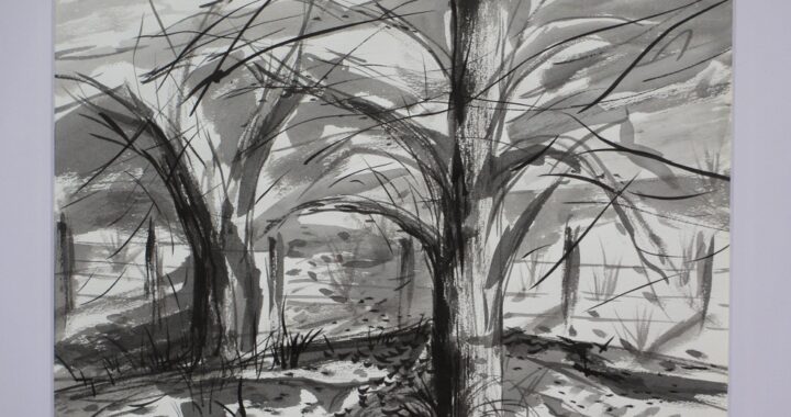 2-Puelche Tinta china Medidas 52 x 42 cms,A