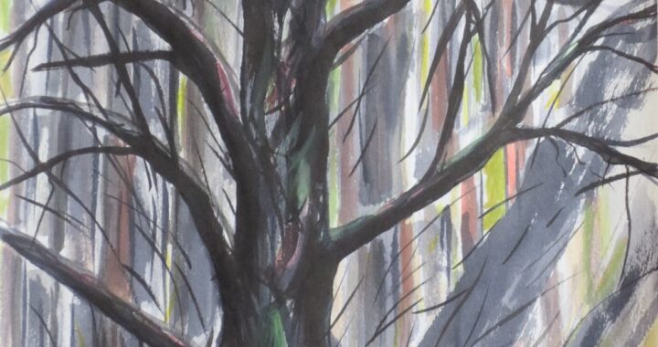 4-Arbol madre Tinta china y acuarela A